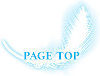 PAGE TOP
